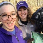 arbcleanup (2)