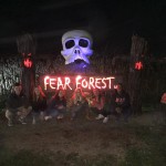 fear-forest